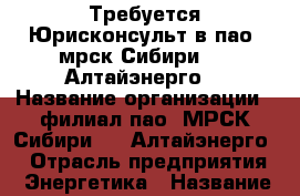 Требуется Юрисконсульт в пао “мрск Сибири“ - “Алтайэнерго“ › Название организации ­ филиал пао “МРСК Сибири“ - “Алтайэнерго“ › Отрасль предприятия ­ Энергетика › Название вакансии ­ Юрисконсульт › Место работы ­ Кулагина, 16 › Минимальный оклад ­ 22 000 - Алтайский край, Барнаул г. Работа » Вакансии   . Алтайский край